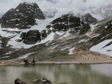 Mirador del glaciar La Paloma
