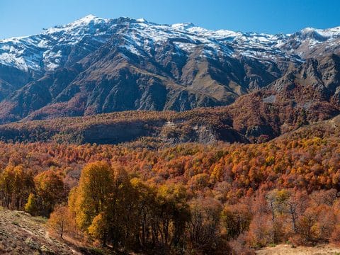 Santuario de la Naturaleza Alto Huemul